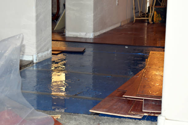 Professional Burst Pipe Cleanup technician working in Porterville, CA